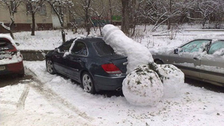Yes, That's A Snow Penis